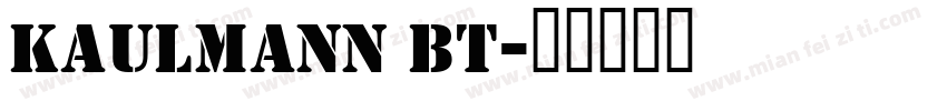 kaulmann bt字体转换